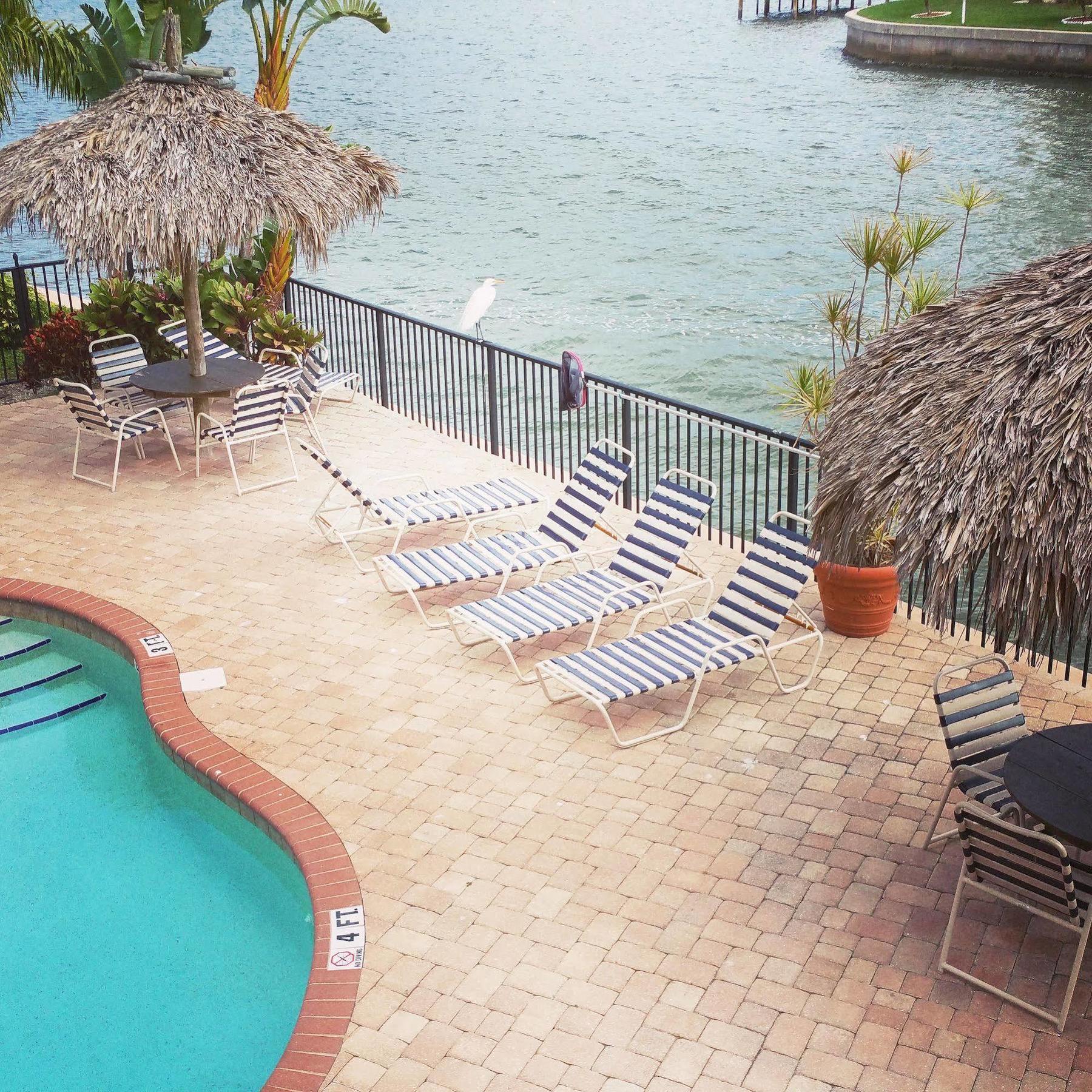 Coconut Villas 达尼丁 外观 照片