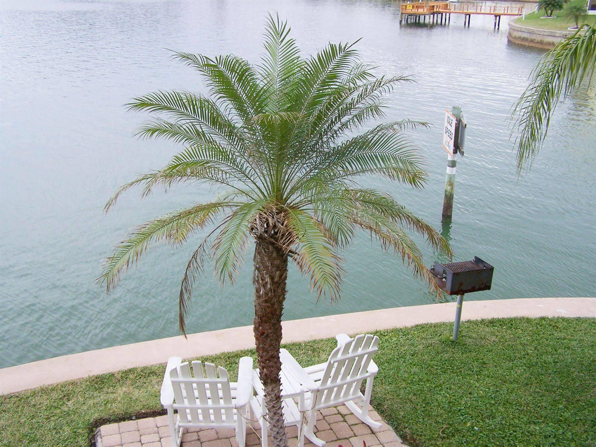 Coconut Villas 达尼丁 外观 照片